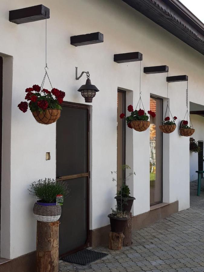 Bed and Breakfast Dridif 135 Экстерьер фото